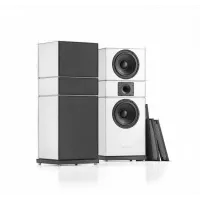 Pylon Audio Amber MKII (Okleina | Olejowosk | Super White) - Raty 50x0% lub specjalna oferta! - Dostawa 0zł!