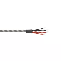 Wireworld Equinox 10 (Bi-Wire) (EQB) 2x2m - Raty 20x0% lub specjalna oferta! - Dostawa 0 zł!