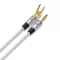 QED Performance Links (QE7621) - zworki Bi-Wire - Raty 10x0% lub specjalna oferta! - Dostawa 0zł! - 7