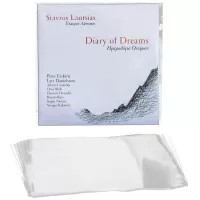 Simply Analog PP Outer Sleeves 7