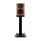 Wharfedale Aura 1 (Orzech połysk) - Raty 20x0% lub specjalna oferta! - Dostawa 0zł! - 5