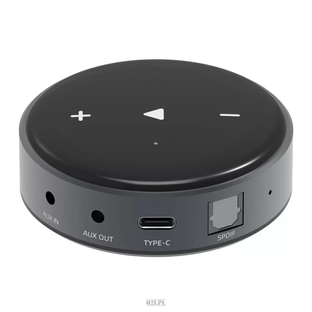 その他 WiiM Mini WiiM Mini