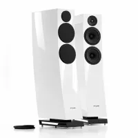 Pylon Audio Jasper 25 mkII (Lakier | Połysk) - Raty 50x0% lub specjalna oferta! - Dostawa 0 zł!