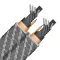 WireWorld Platinum Electra 10 Power Cord (PEP) 3m - Raty 20x0% lub specjalna oferta! - Dostawa 0 zł! - 2