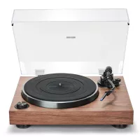 Argon Audio Aurora (Orzech) - Raty 20x0% lub specjalna oferta! - Dostawa 0zł!