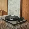 Argon Audio TT MK2 (Orzech / Real Walnut) - OUTLET - Raty 10x0% - Dostawa 0zł! - 16