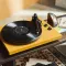 Argon Audio TT MK2 (Orzech / Real Walnut) - OUTLET - Raty 10x0% - Dostawa 0zł! - 15