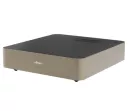 Fezz Gratia MM/MC EVO (Sunlight) - Raty 50x0% lub specjalna oferta! - Dostawa 0zł!