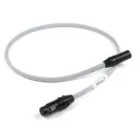 Chord Sarum T Digital AES/EBU (XLR) - Raty 10x0% lub specjalna oferta! - Dostawa 0 zł!