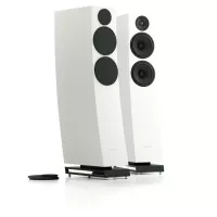 Pylon Audio Jasper 25 mkII (Lakier | Mat) - Raty 50x0% lub specjalna oferta! - Dostawa 0 zł!