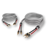Ricable Invictus Speaker Reference MKII (2 x 3.0 m) - Raty 10x0% lub specjalna oferta! - Dostawa 0zł!