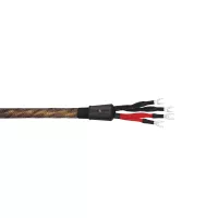 Wireworld Eclipse 10 (Bi-Wire) (ECB) 2x2m - Raty 20x0% lub specjalna oferta! - Dostawa 0 zł!