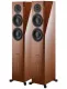 Dynaudio Focus 30 XD (orzech) - Raty 30x0% lub specjalna oferta! - Dostawa 0 zł!