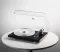Pro-Ject Debut Reference 10 - Raty 20x0% lub specjalna oferta! - Dostawa 0zł! - 18