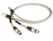 Chord Epic (XLR) - Raty 30x0% - Dostawa 0 zł!
