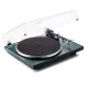 Argon Audio TT (Zielony / Pine Green) - Raty 10x0% lub specjalna oferta! - Dostawa 0zł!