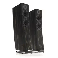 Pylon Audio Jasper 25 mkII (Okleina | Heban Morocco) - Raty 50x0% lub specjalna oferta! - Dostawa 0 zł!