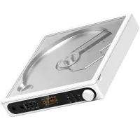 FiiO DM15 R2R (Biały) - Raty 10x0% lub specjalna oferta! - Dostawa 0zł!