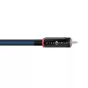 WireWorld Oasis 10 RCA (OAI) 1m - Raty 20x0% lub specjalna oferta! - Dostawa 0 zł!