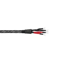 Wireworld Silver Eclipse 10 (Bi-Wire) (SEB) 2x2m - Raty 20x0% lub specjalna oferta! - Dostawa 0 zł!