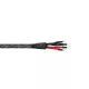 Wireworld Silver Eclipse 10 (Bi-Wire) (SEB) 2x2m - Raty 20x0% lub specjalna oferta! - Dostawa 0 zł!