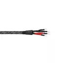 Wireworld Silver Eclipse 10 (Bi-Wire) (SEB) 2x2m - Raty 20x0% lub specjalna oferta! - Dostawa 0 zł!