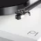 Rega Carbon Pro Stylus (Igła) - Dostawa 0zł - 5