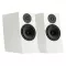 Pylon Audio Jasper Monitor 18 (Lakier | Mat) - Raty 50x0% lub specjalna oferta! - Dostawa 0zł! - 2