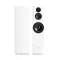 Pylon Audio Sapphire 31 (Lakier | Mat) - Raty 50x0% lub specjalna oferta! - Dostawa 0zł! - 3