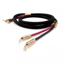 McIntosh CS2M (2.0m) - Raty 20x0% - Dostawa 0 zł