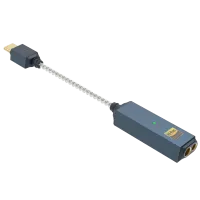 iFi Audio GO link 2 Max - Dostawa 0zł!