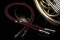 Albedo Flat-One (XLR) - kredyt 10x0% + dostawa gratis