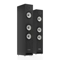 Pylon Audio Ruby 30 (Okleina | Naturalna) - Raty 50x0% lub specjalna oferta! - Dostawa 0 zł!