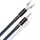 WireWorld Oasis 10 Biwire Jumpers (JUMPOAS10) - Raty 20x0% lub specjalna oferta - Dostawa 0 zł!