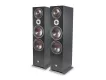 Dali Oberon 9 (czarny) - Taniej z kodem rabatowym! - Dostawa 0zł! - Raty 30x0% lub specjalna oferta! - Dostawa 0 zł!