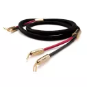 McIntosh CS3M (3.0m) - Raty 20x0% - Dostawa 0 zł
