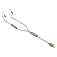 iFi Audio GO cable - Dostawa 0zł!