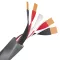 Wireworld Equinox 10 (EQS) 2x2m - Raty 20x0% lub specjalna oferta! - Dostawa 0 zł! - 3