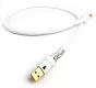 Chord Sarum T USB - Raty 30x0% - Dostawa 0 zł!