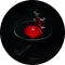 Pro-Ject AC/DC Turntable (Special Edition) - Raty 20x0% lub specjalna oferta! - Dostawa 0zł! - 4