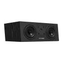 Pylon Audio Diamond Center mkII (Okleina | Naturalna) - Raty 50x0% lub specjalna oferta! - Dostawa 0zł!