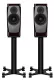 Dynaudio Confidence 20 (raven wood) - Raty 30x0% lub specjalna oferta! - Dostawa 0 zł!