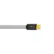 WireWorld Platinum Starlight 8 USB 2.0 A-C (P2CA) 1m - Raty 20x0% - Dostawa 0 zł!