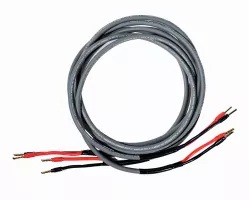 Cardas 101 Speaker (2 x 2.5m) - OUTLET - Dostawa 0zł!