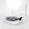 Rega Planar 3 (Nd3) Biały połysk - OUTLET - Raty 10x0% - Dostawa 0zł! - 5