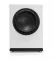 Pylon Audio Diamond Sub (Lakier | Mat) - Raty 50x0% lub specjalna oferta! - Dostawa 0zł! - 2