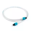Chord C-Lite - Dostawa 0 zł!