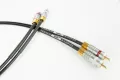Haiku Audio Interconect RCA - kredyt 20x0% + dostawa gratis