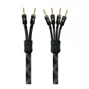 Argon Audio Essentials Excellence 1 SC Complete (Bi-Wire) 2 x 2.5 m - Raty 10x0% lub specjalna oferta! - Dostawa 0zł!