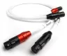 Chord Sarum T (XLR) - Raty 30x0% - Dostawa 0 zł!